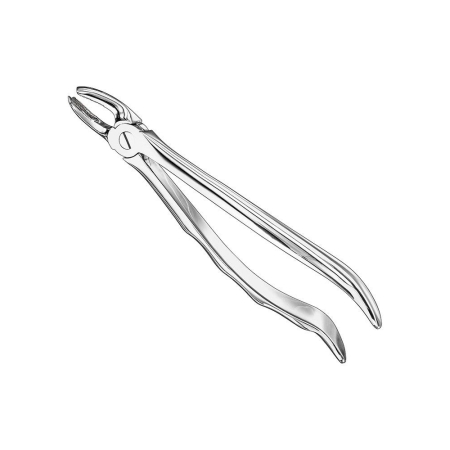 Extracting forceps, anat.